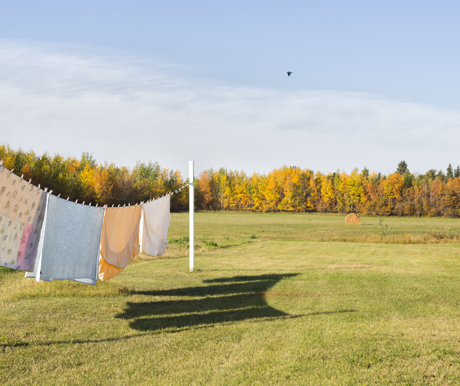 Country Clothesline Wax Melt